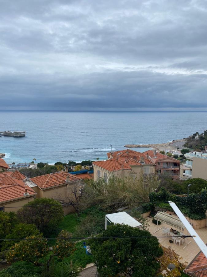 Apartment Deux Pieces Aux Portes De Monaco